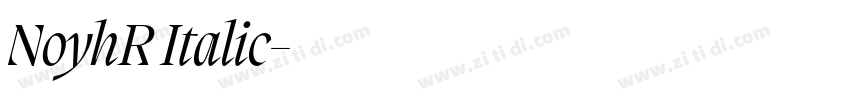 NoyhR Italic字体转换 NoyhR Italic字体转换